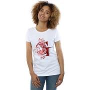 T-shirt Harry Potter Gryffindor Lion