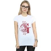 T-shirt Harry Potter BI23525