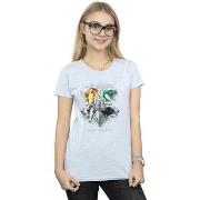 T-shirt Harry Potter BI23543