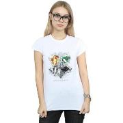 T-shirt Harry Potter Hogwarts Painted Crest