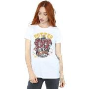 T-shirt Harry Potter Gryffindor Seeker