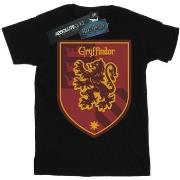 T-shirt Harry Potter BI26654