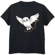 T-shirt enfant Harry Potter Owl Letter