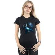 T-shirt Harry Potter BI23136