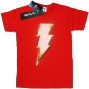 T-shirt enfant Dc Comics BI35082