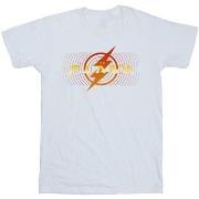 T-shirt enfant Dc Comics BI41156