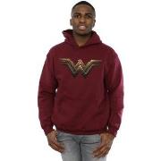 Sweat-shirt Dc Comics BI5195