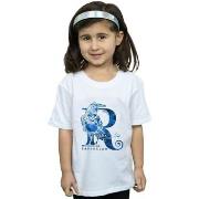 T-shirt enfant Harry Potter Ravenclaw