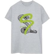 T-shirt Harry Potter Slytherin Pop Spray