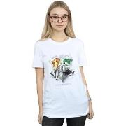 T-shirt Harry Potter Hogwarts Painted Crest