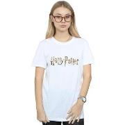 T-shirt Harry Potter Full Colour Logo