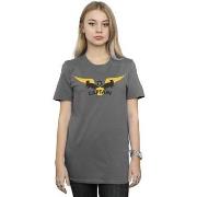 T-shirt Harry Potter Hufflepuff Captain