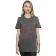 T-shirt Harry Potter Gryffindor