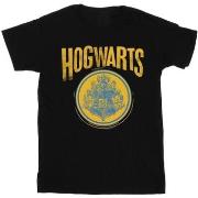 T-shirt Harry Potter BI27595