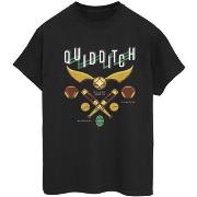 T-shirt Harry Potter Quidditch Bludgers Quaffles