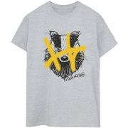 T-shirt Harry Potter Hufflepuff Pop Spray