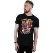 T-shirt Harry Potter Gryffindor Seeker