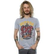 T-shirt Harry Potter Gryffindor Seeker