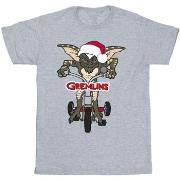 T-shirt Gremlins BI28771