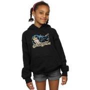 Sweat-shirt enfant Dc Comics BI6282