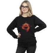 Sweat-shirt Dc Comics BI6450