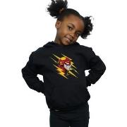 Sweat-shirt enfant Dc Comics BI6764