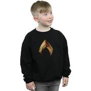 Sweat-shirt enfant Dc Comics Aquaman Emblem