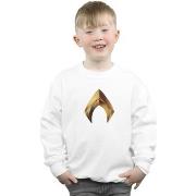 Sweat-shirt enfant Dc Comics BI6115