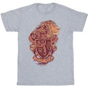 T-shirt Harry Potter Gryffindor Sketch Crest