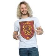 T-shirt Harry Potter Gryffindor