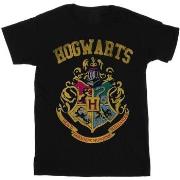 T-shirt Harry Potter BI30383