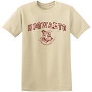 T-shirt Harry Potter BI30384