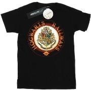 T-shirt Harry Potter BI30462