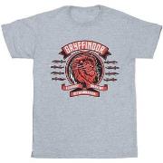 T-shirt Harry Potter Gryffindor