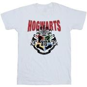 T-shirt Harry Potter BI30718