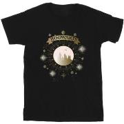 T-shirt Harry Potter BI30923