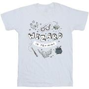 T-shirt Harry Potter BI30966