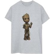 T-shirt Marvel I Am Groot