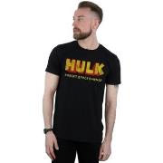 T-shirt Marvel Hulk AKA Robert Bruce Banner