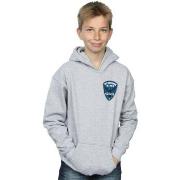 Sweat-shirt enfant Dc Comics Arrow Starling Metro Badge