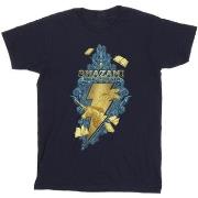 T-shirt Dc Comics Shazam Fury Of The Gods Golden Animal Bolt