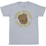 T-shirt Marvel I Am Groot Cutest Guardian