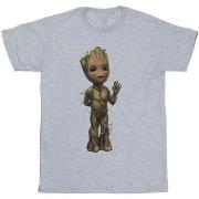 T-shirt Marvel BI38882