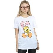 T-shirt Dessins Animés BI32442