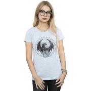 T-shirt Fantastic Beasts Distressed Magical Congress