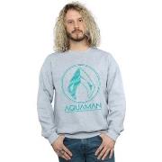 Sweat-shirt Dc Comics Aquaman Aqua Logo