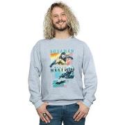 Sweat-shirt Dc Comics BI8927