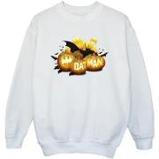 Sweat-shirt enfant Dc Comics Batman Pumpkins