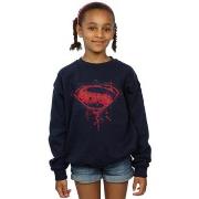 Sweat-shirt enfant Dc Comics BI9944