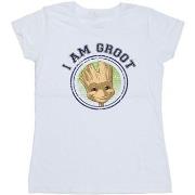 T-shirt Guardians Of The Galaxy Groot Varsity